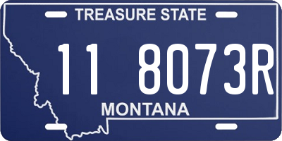 MT license plate 118073R