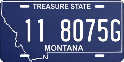 MT license plate 118075G