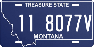 MT license plate 118077V