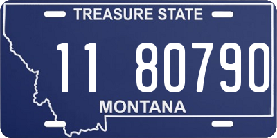 MT license plate 118079O