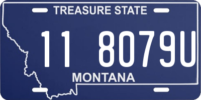 MT license plate 118079U