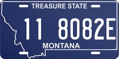 MT license plate 118082E