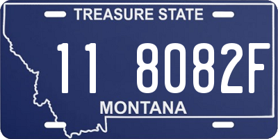 MT license plate 118082F