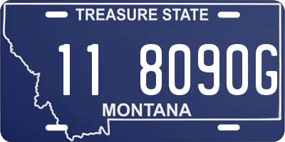 MT license plate 118090G