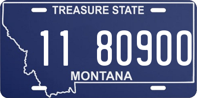 MT license plate 118090O