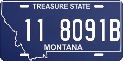 MT license plate 118091B