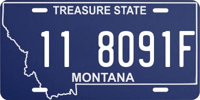 MT license plate 118091F