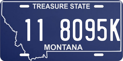 MT license plate 118095K