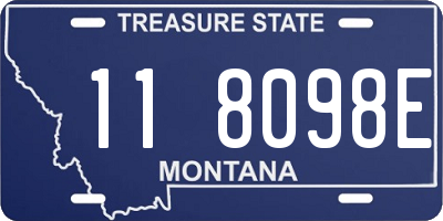 MT license plate 118098E