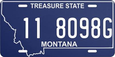 MT license plate 118098G