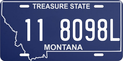 MT license plate 118098L