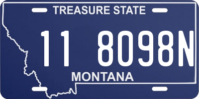 MT license plate 118098N
