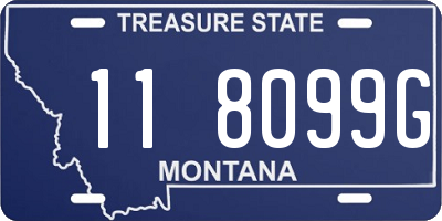 MT license plate 118099G
