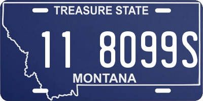 MT license plate 118099S