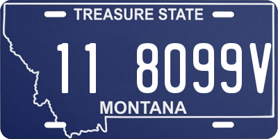 MT license plate 118099V