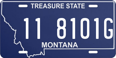 MT license plate 118101G