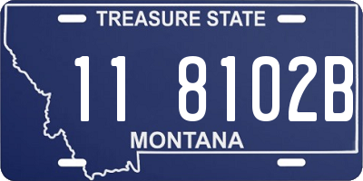 MT license plate 118102B