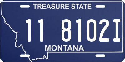 MT license plate 118102I