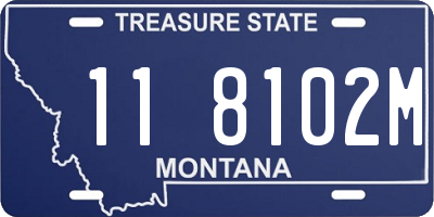 MT license plate 118102M