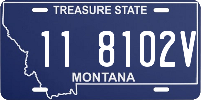 MT license plate 118102V