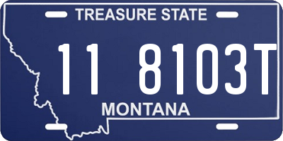 MT license plate 118103T