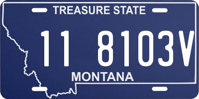 MT license plate 118103V