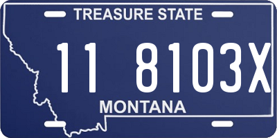 MT license plate 118103X