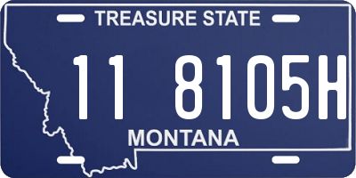 MT license plate 118105H