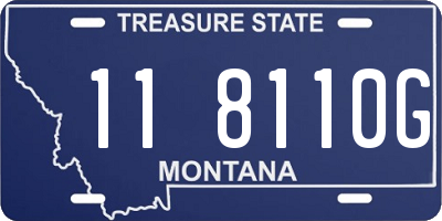 MT license plate 118110G