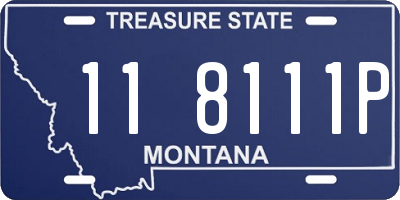 MT license plate 118111P