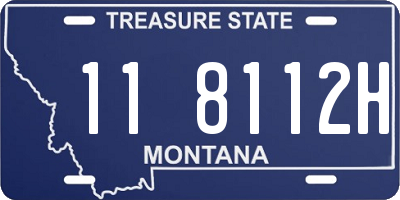 MT license plate 118112H