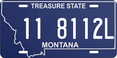 MT license plate 118112L