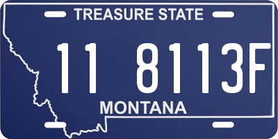 MT license plate 118113F