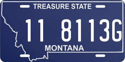 MT license plate 118113G