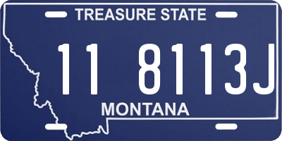 MT license plate 118113J