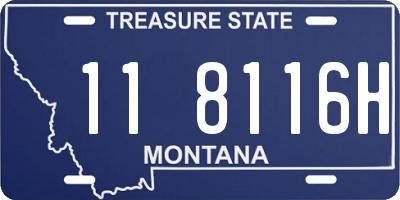 MT license plate 118116H