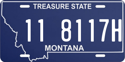 MT license plate 118117H