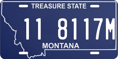 MT license plate 118117M