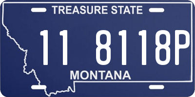 MT license plate 118118P