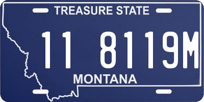 MT license plate 118119M
