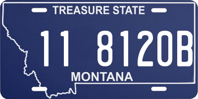 MT license plate 118120B