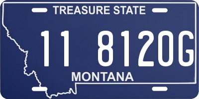 MT license plate 118120G