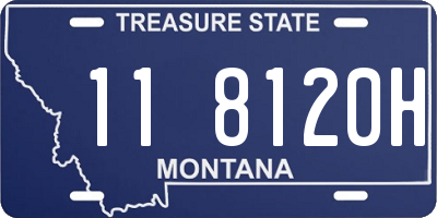 MT license plate 118120H