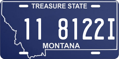 MT license plate 118122I