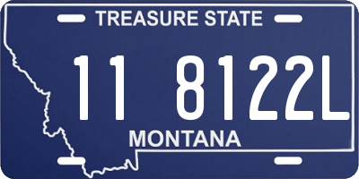 MT license plate 118122L