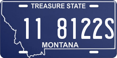 MT license plate 118122S