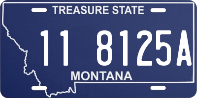 MT license plate 118125A