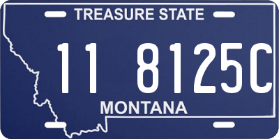 MT license plate 118125C