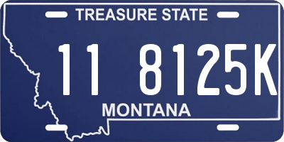 MT license plate 118125K
