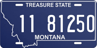 MT license plate 118125O